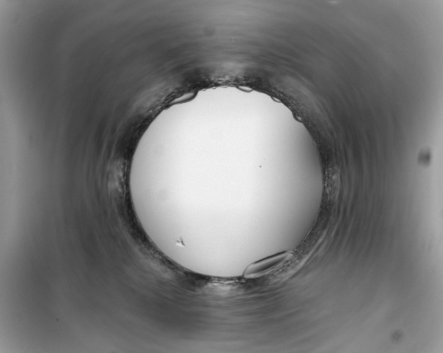 X0000099300280200805231348