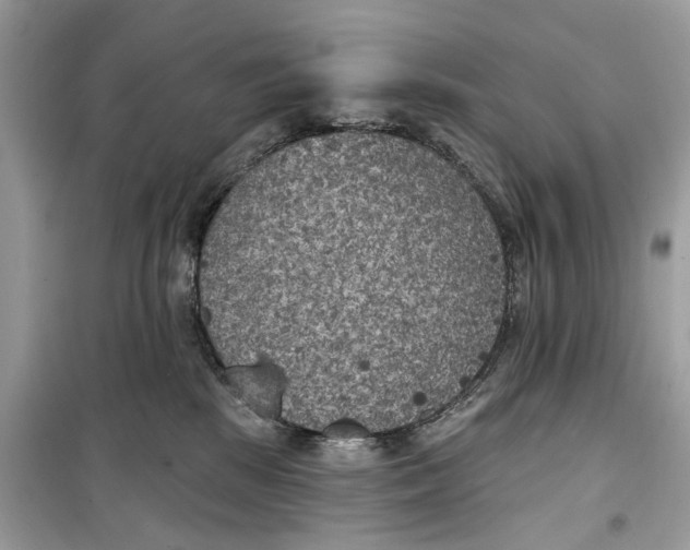 X0000099300281200805231348