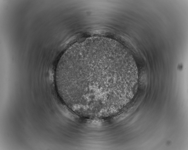 X0000099300282200805231348