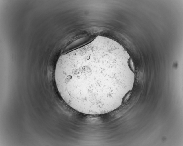 X0000099300283200805231348