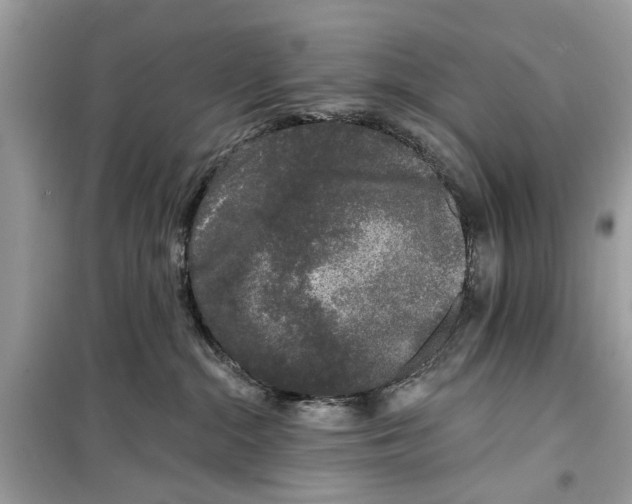 X0000099300284200805231348