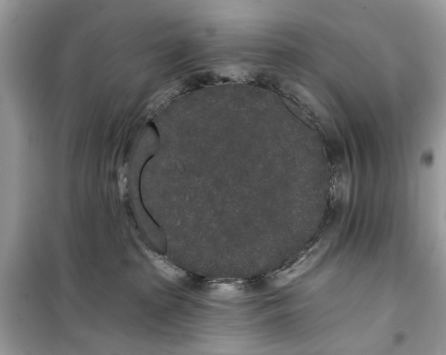 X0000099300285200805231348