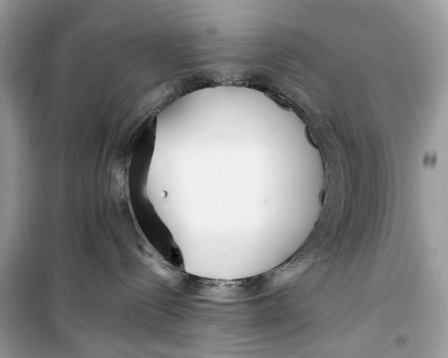 X0000099300288200805231349