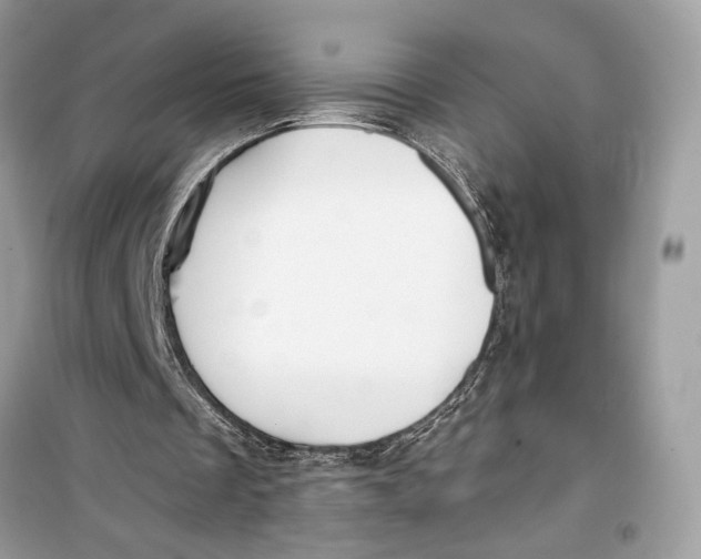 X0000099300289200805231348