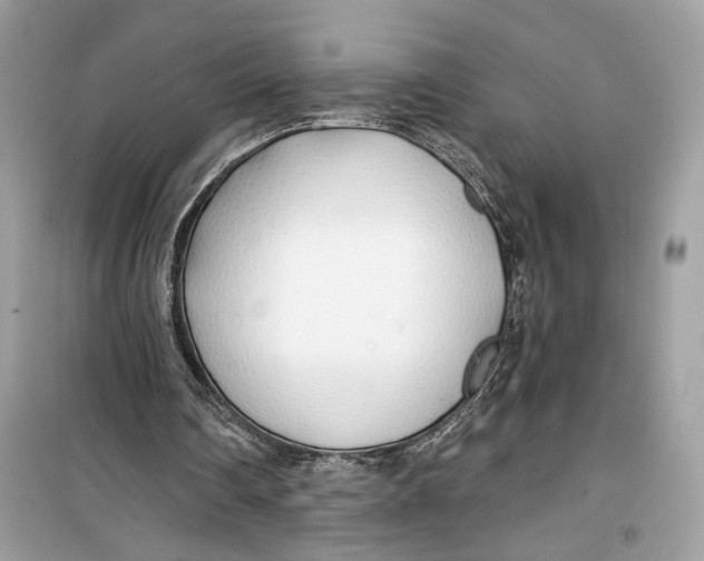 X0000099300290200805231348