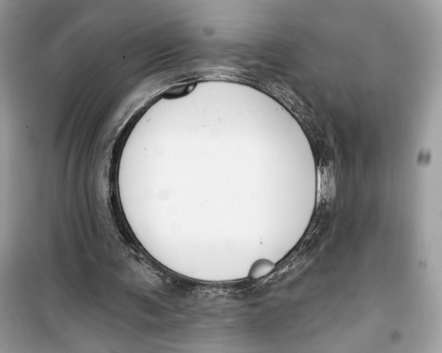 X0000099300291200805231348