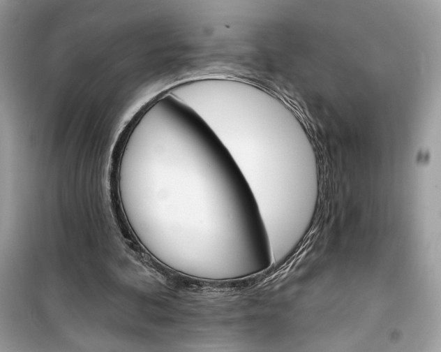 X0000099300292200805231348