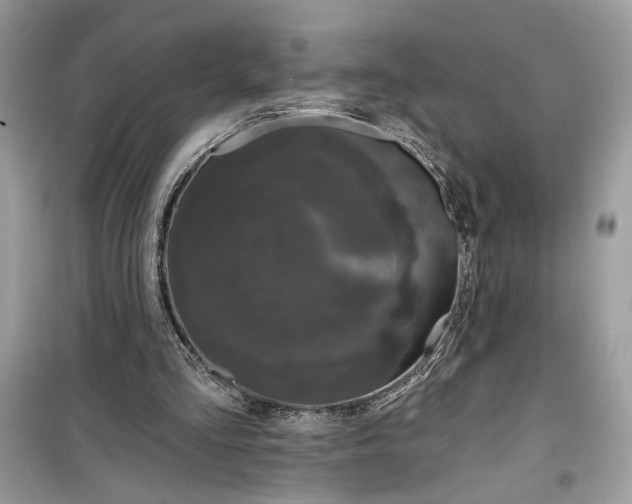 X0000099300293200805231348