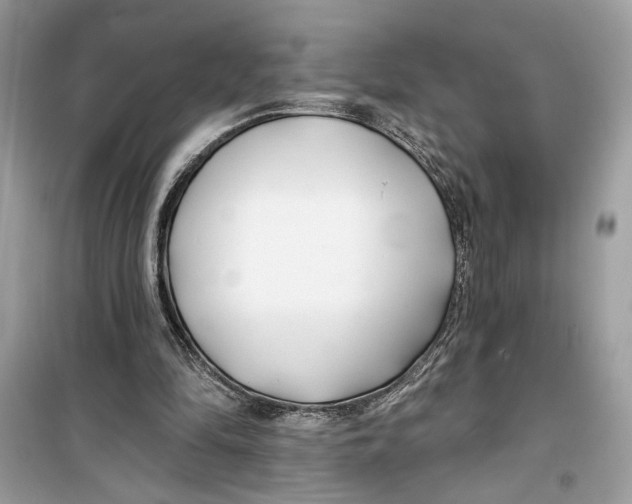 X0000099300294200805231348