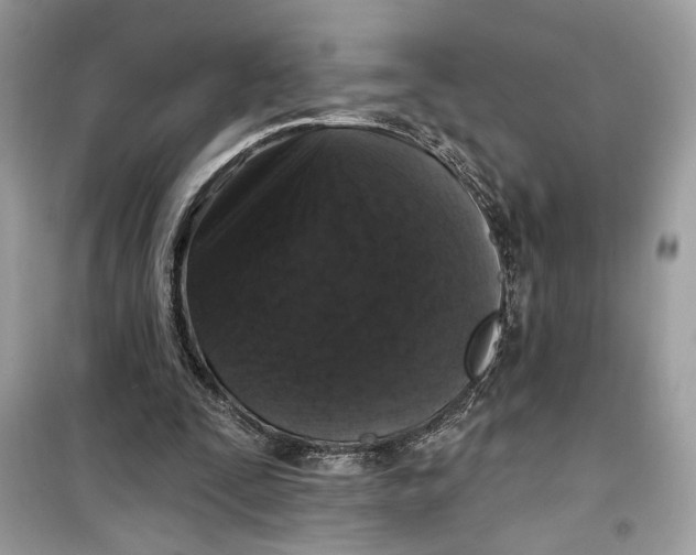 X0000099300295200805231348