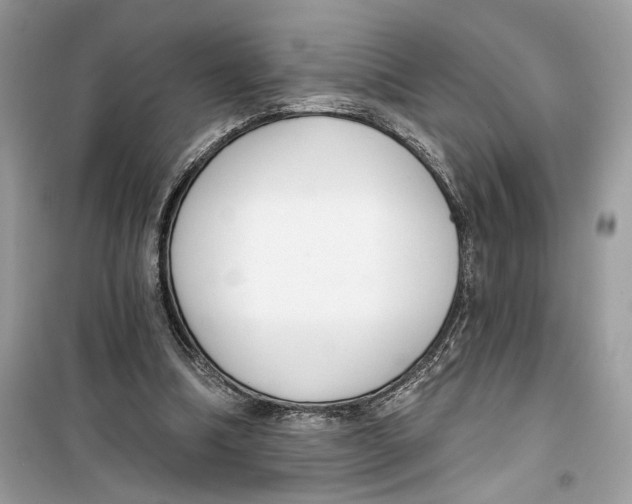 X0000099300298200805231348