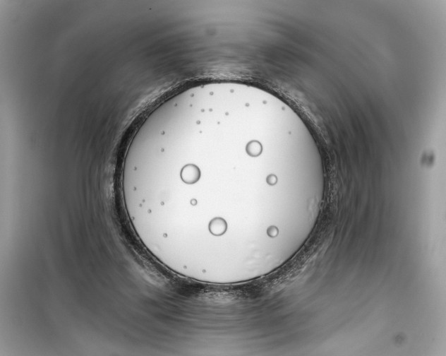 X0000099300299200805231348