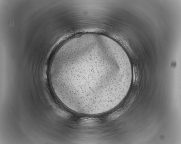 X0000099300300200805231348