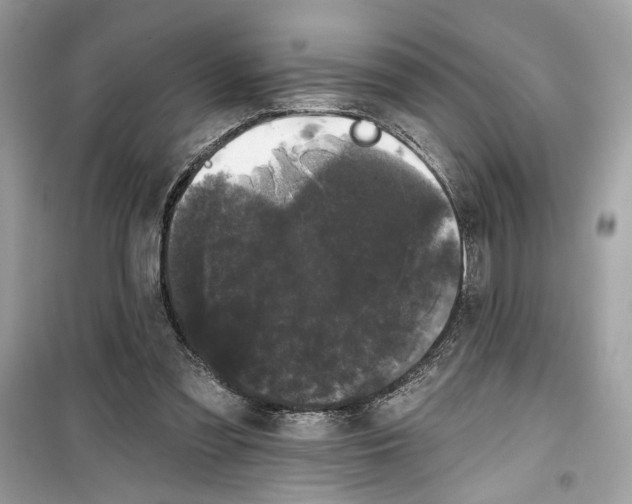 X0000099300301200805231348