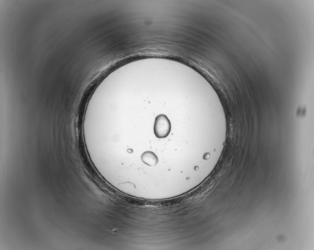 X0000099300302200805231348