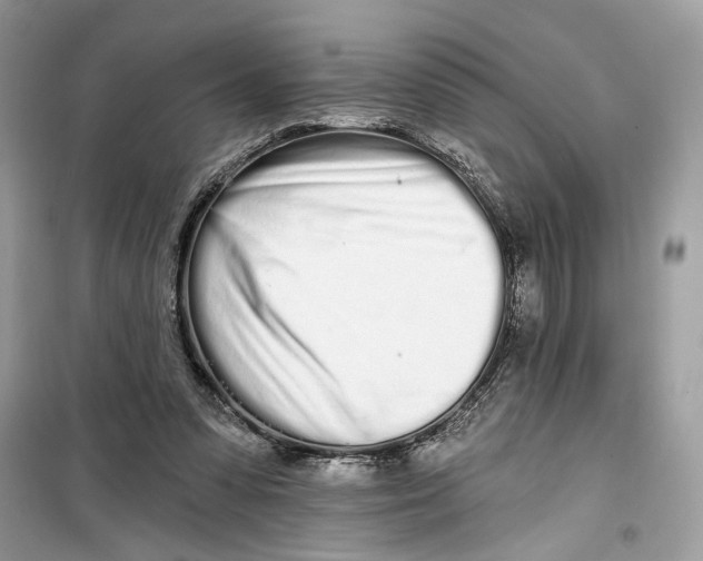 X0000099300303200805231348