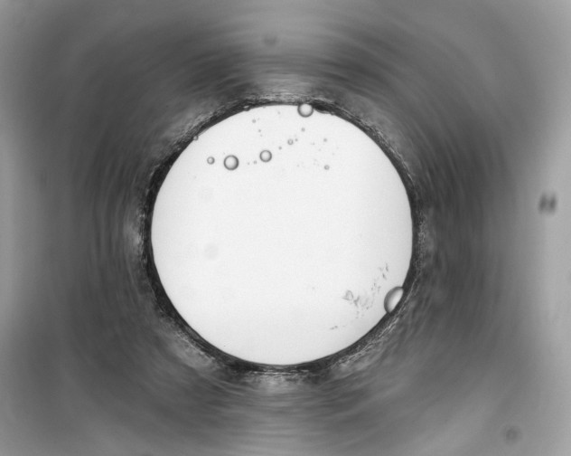 X0000099300305200805231348