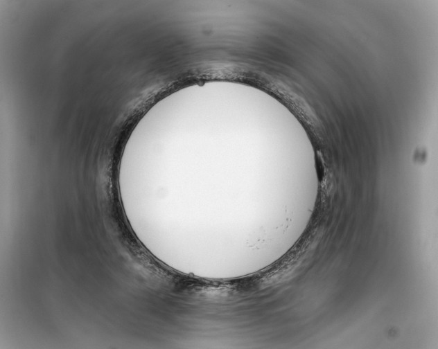 X0000099300306200805231348