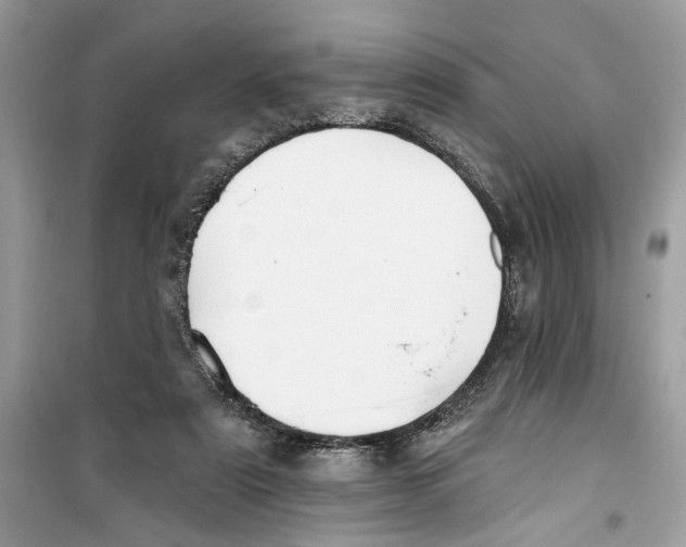 X0000099300307200805231348