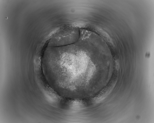 X0000099300308200805231348