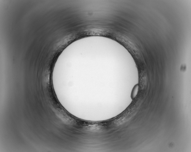 X0000099300310200805231348