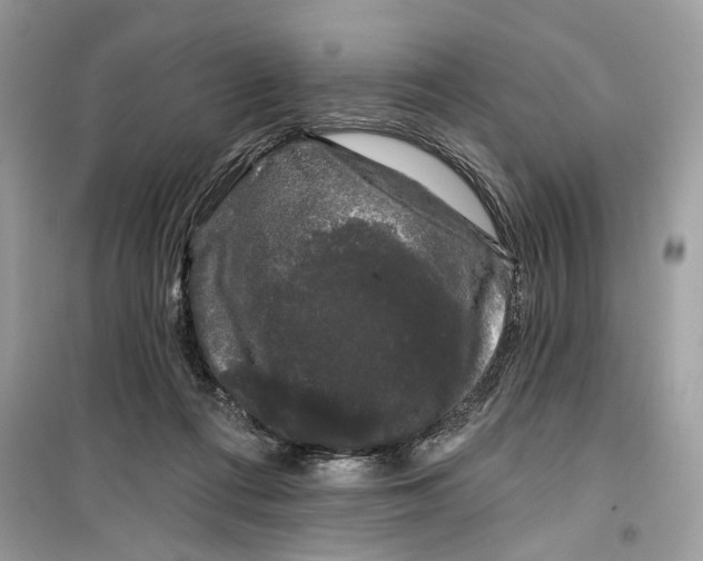 X0000099300312200805231348