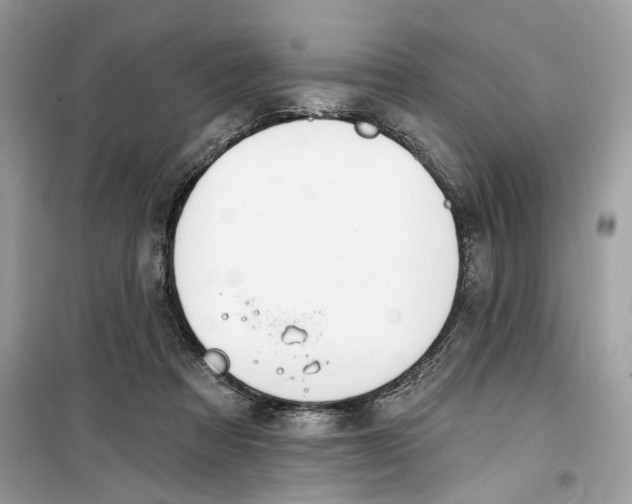 X0000099300313200805231348