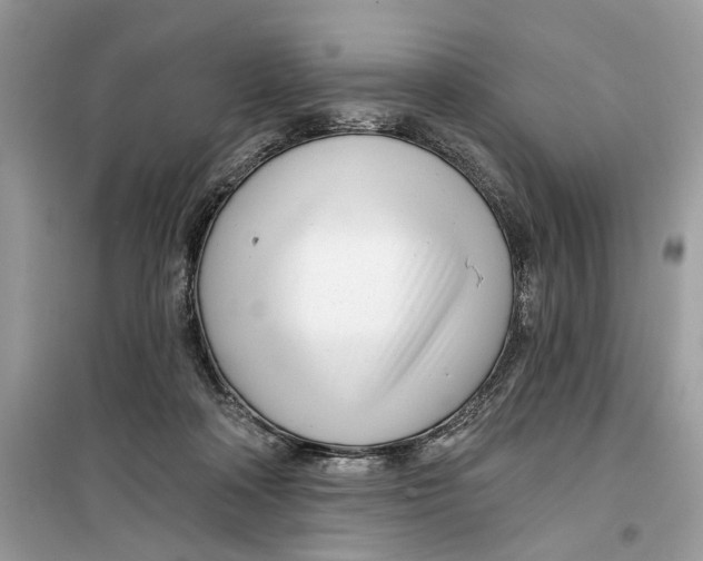 X0000099300314200805231348