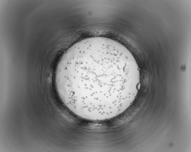 X0000099300315200805231348