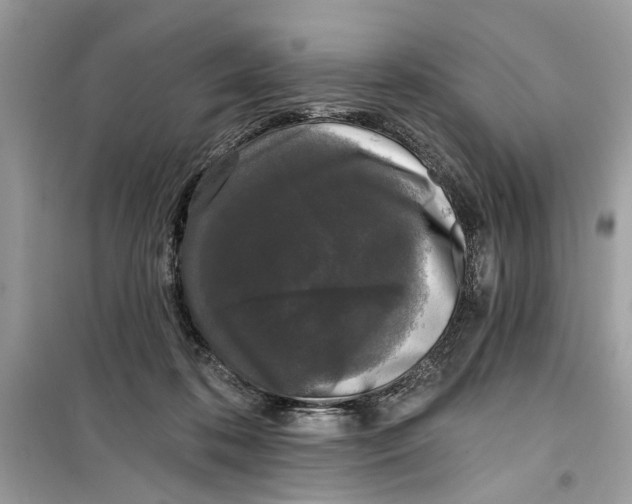 X0000099300316200805231348