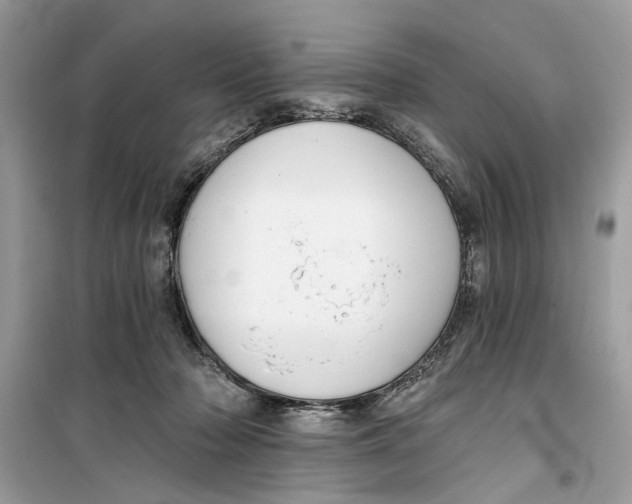 X0000099300318200805231348