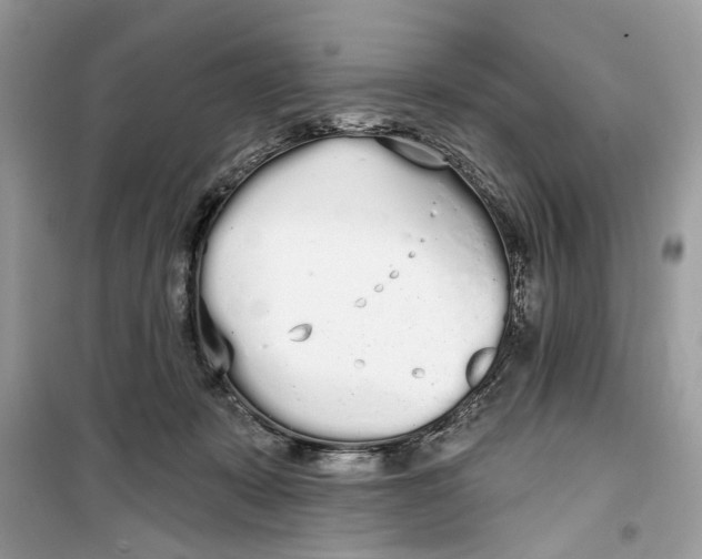 X0000099300319200805231348