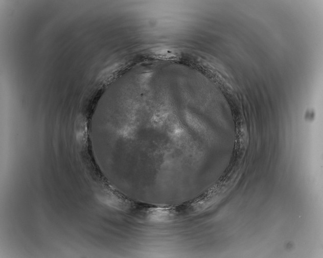 X0000099300320200805231348