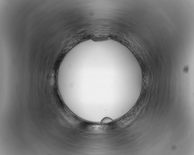 X0000099300323200805231347