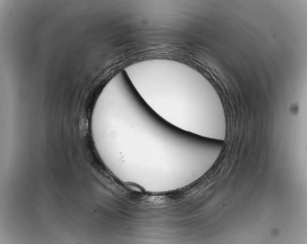 X0000099300324200805231347