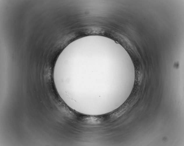 X0000099300326200805231347