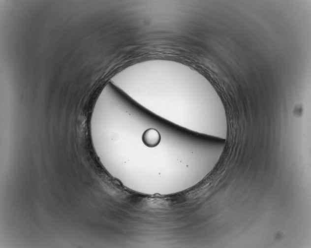 X0000099300327200805231347