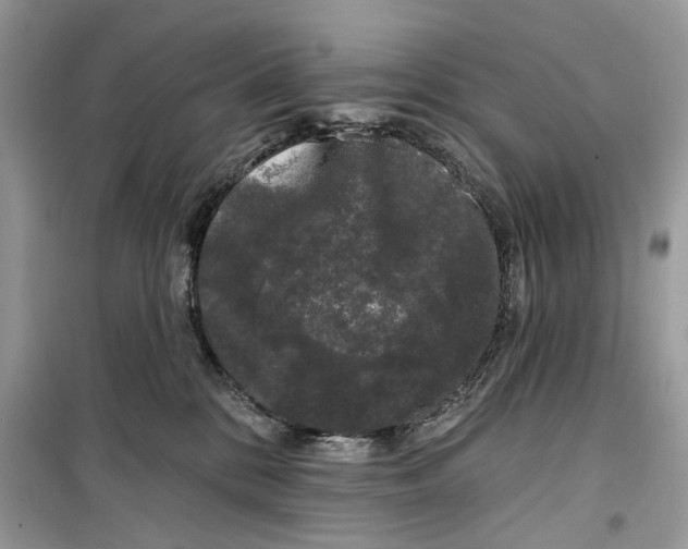 X0000099300328200805231347