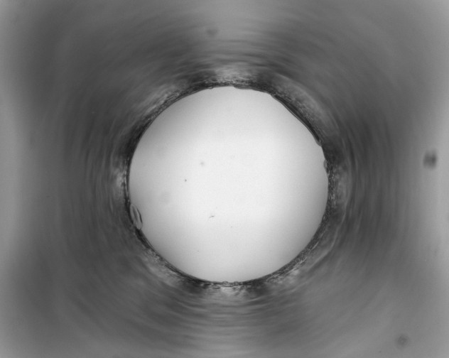 X0000099300329200805231347