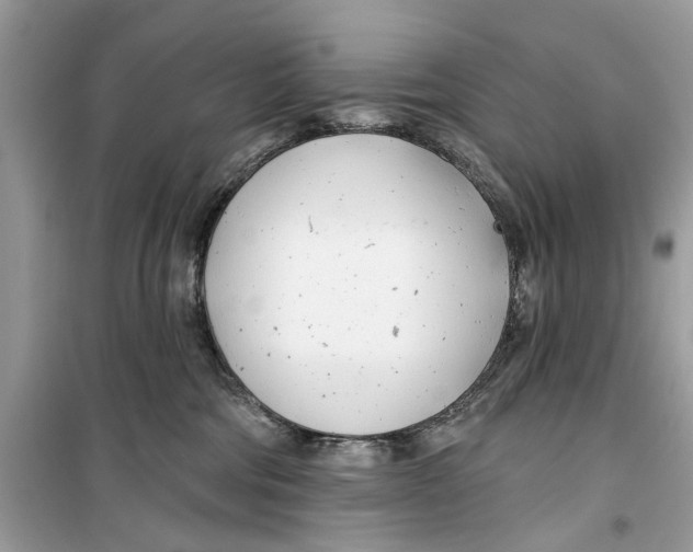 X0000099300330200805231347