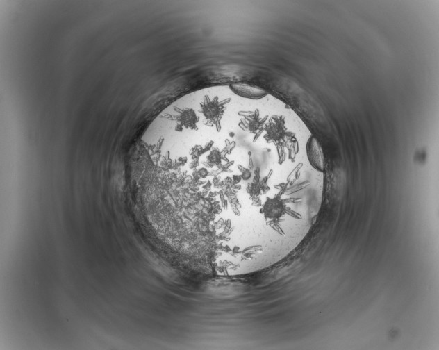 X0000099300331200805231347