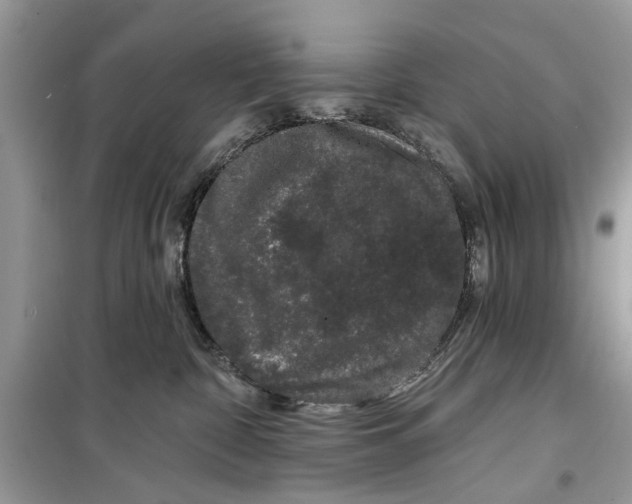 X0000099300332200805231347