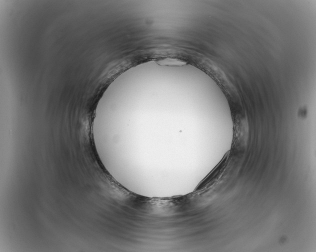 X0000099300333200805231347