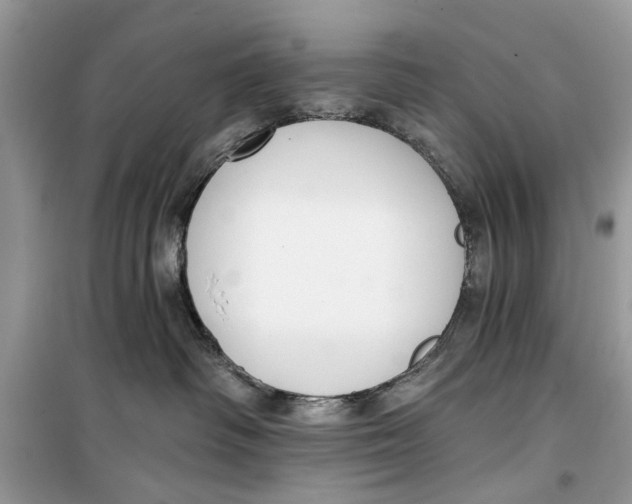 X0000099300334200805231347