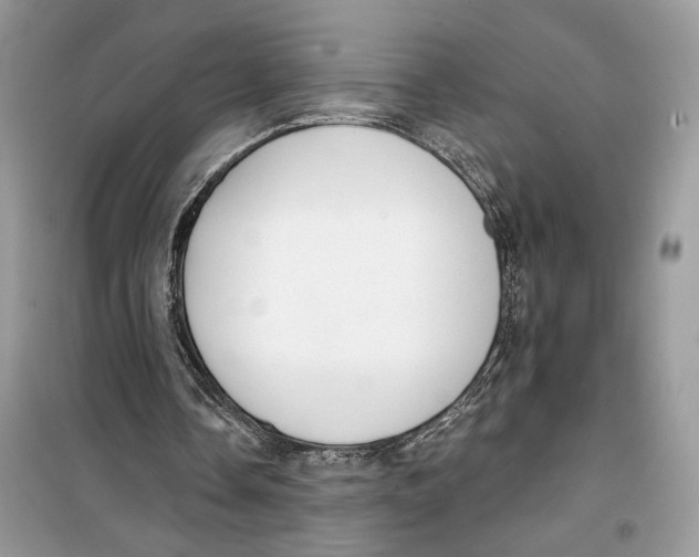 X0000099300338200805231347