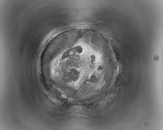 X0000099300339200805231347