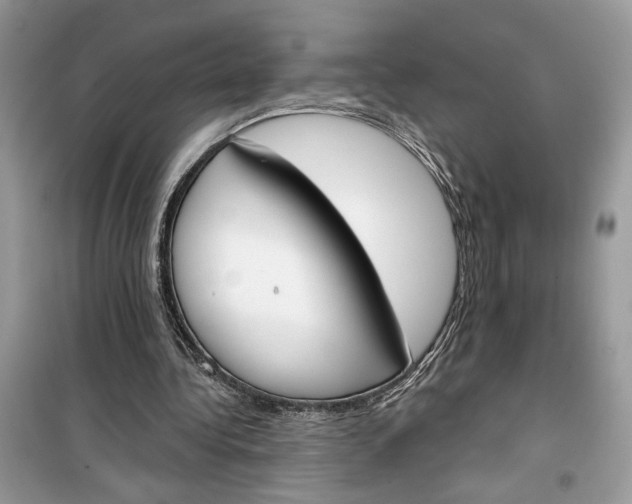 X0000099300340200805231347