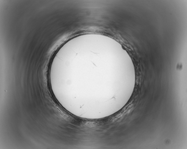 X0000099300341200805231347