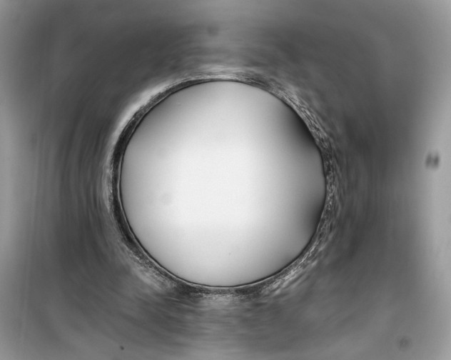 X0000099300342200805231347