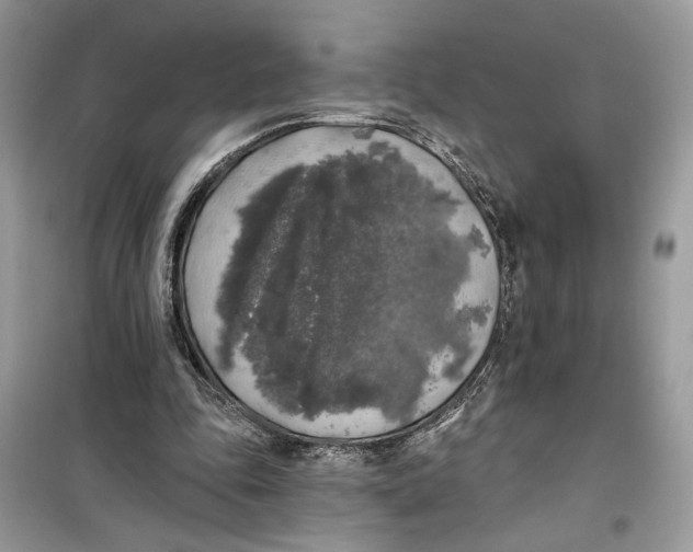 X0000099300343200805231347